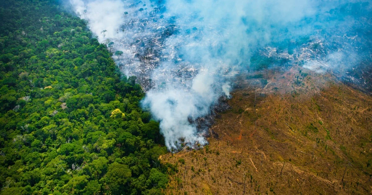 Área de floresta desmatada na Amazônia