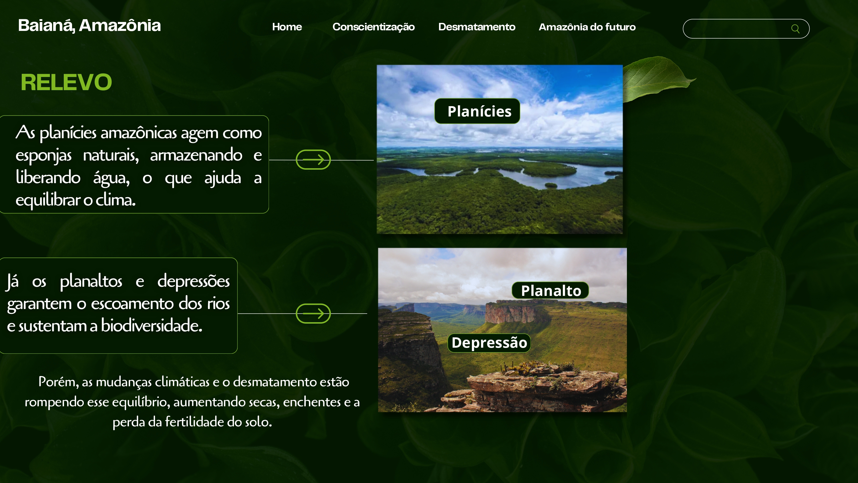 Infográfico mostrando estruturas do relevo amazônico