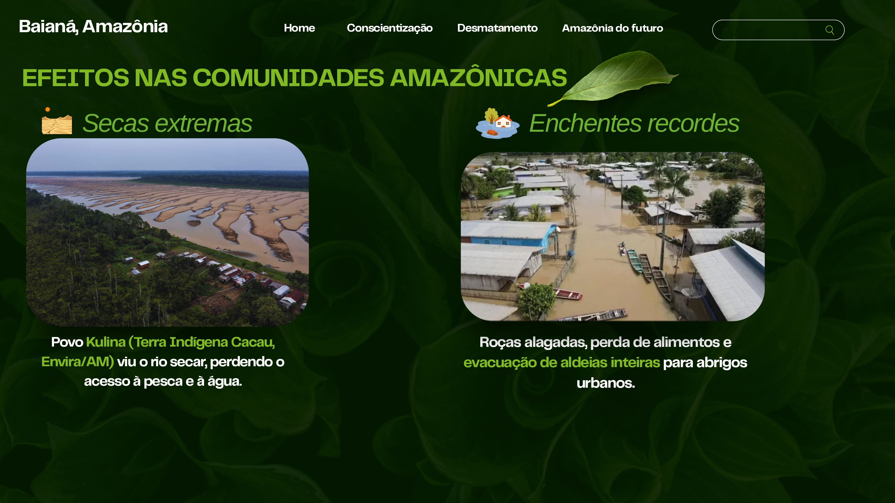 Gráfico com impactos climáticos em comunidades amazônicas
