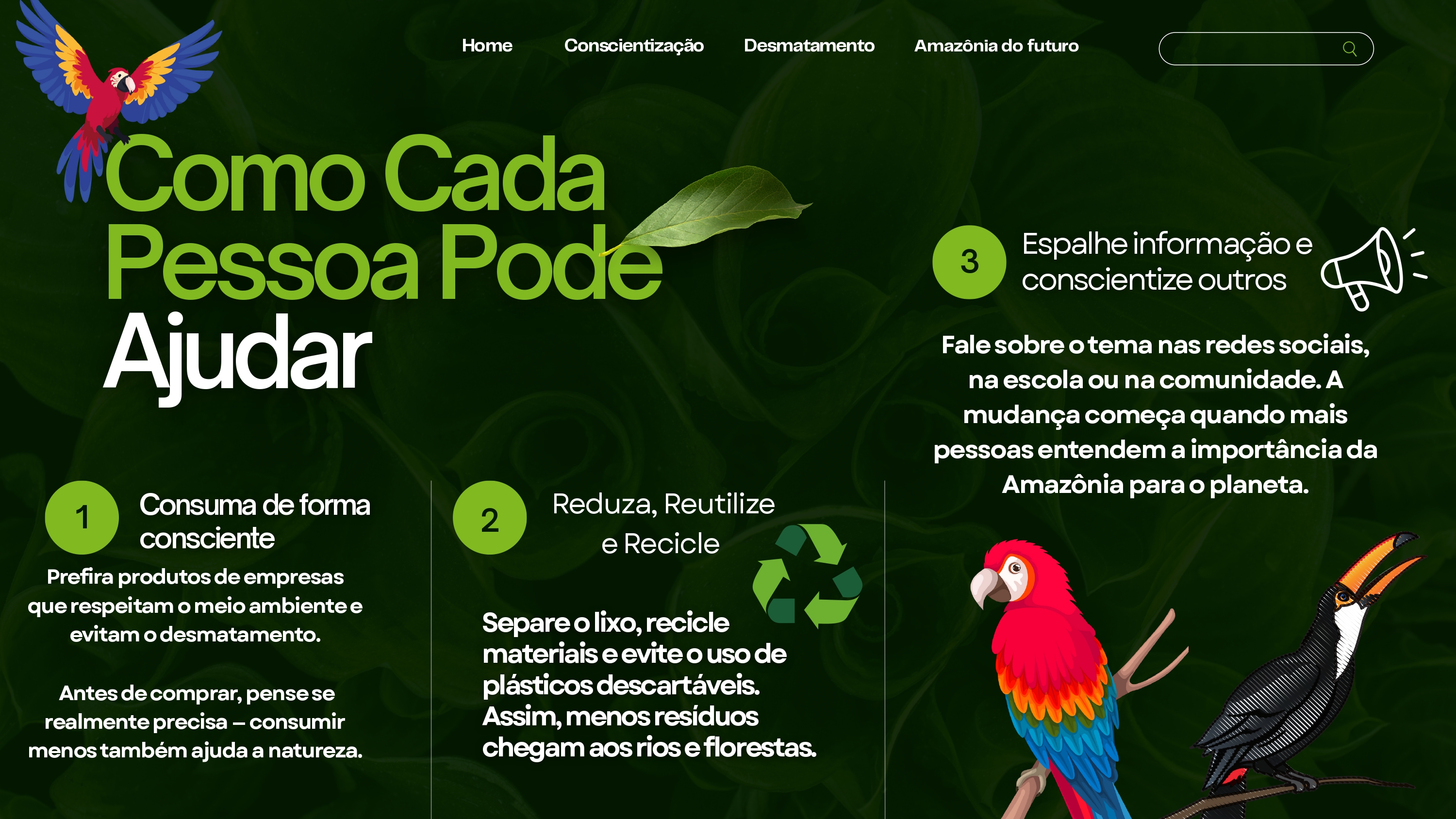 Resumo visual com ações para salvar a Amazônia