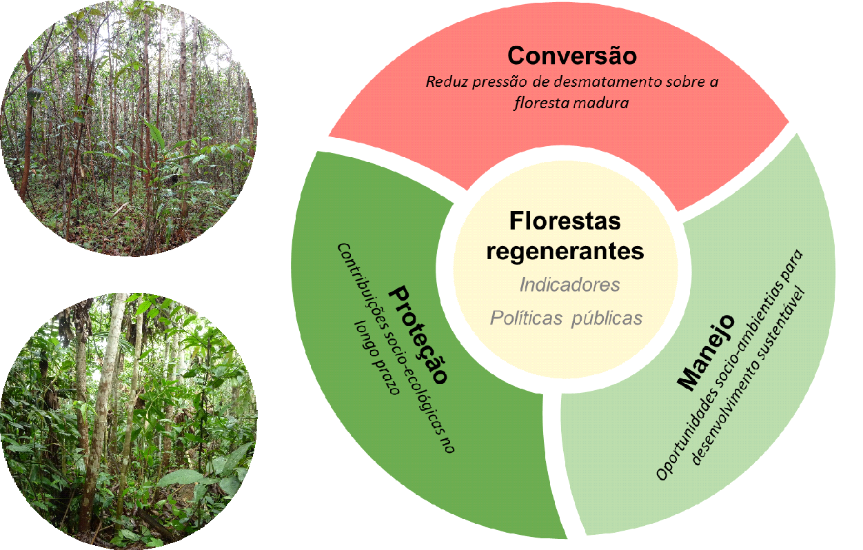 Serviços Ecossistêmicos